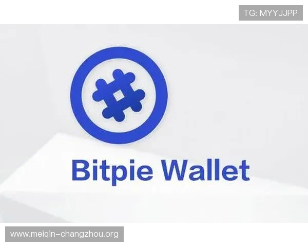 欧博app登录入口安卓官方正版下载，保障账号安全与游戏数据完整